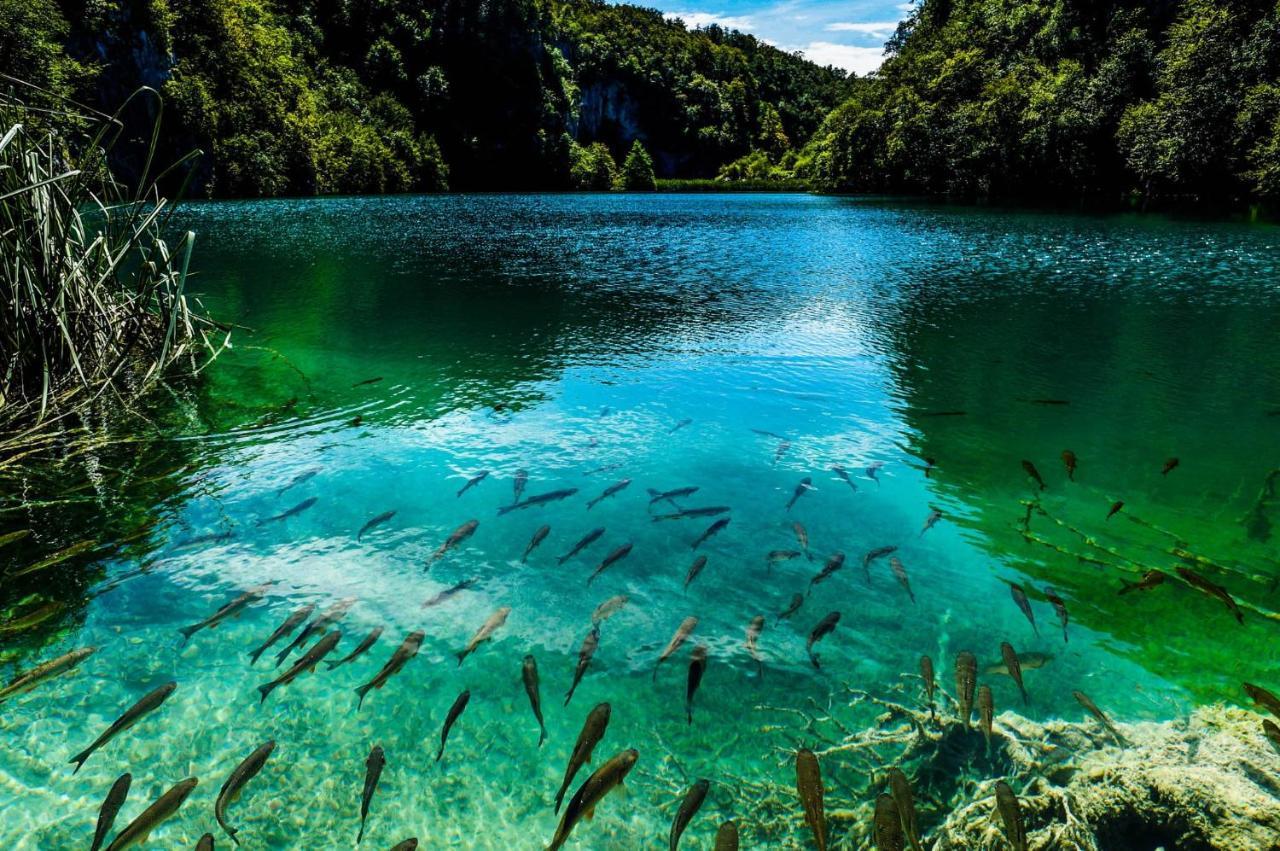 Lakefairy - Magical Cabin In The Woods, Walking Distance To The Waterfalls Plitvica selo Exteriér fotografie