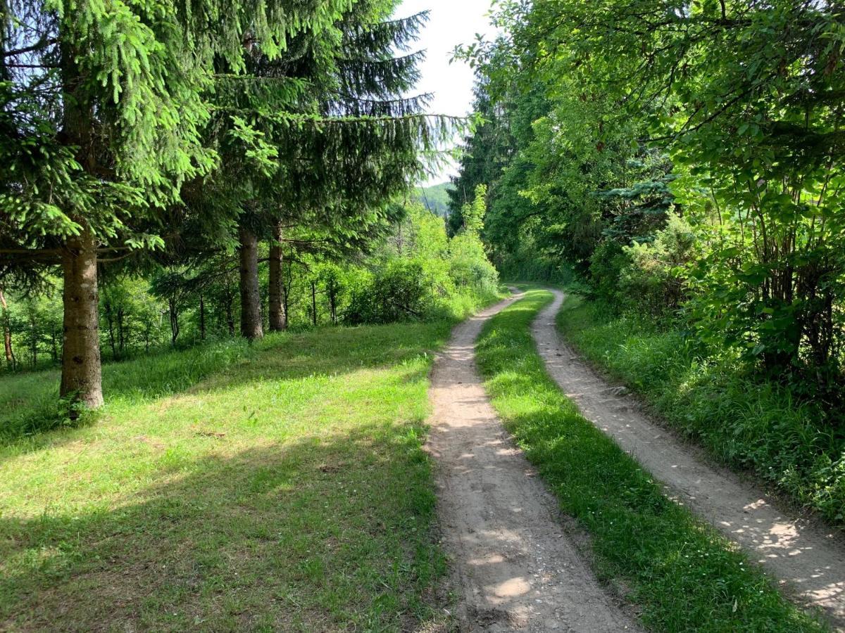 Lakefairy - Magical Cabin In The Woods, Walking Distance To The Waterfalls Plitvica selo Exteriér fotografie